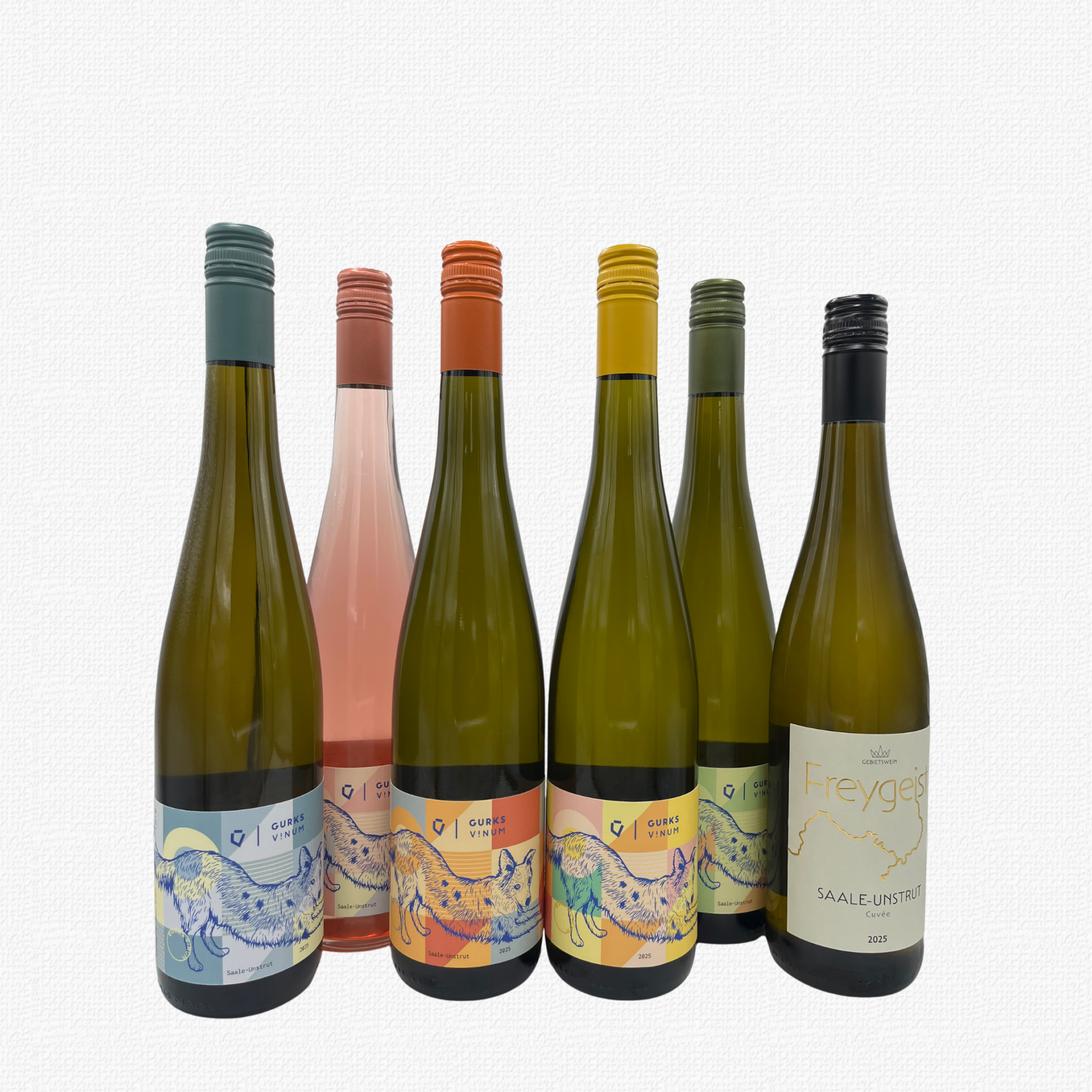 6er Probierpaket